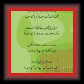 Wasif Ali Wasif Nehlaa kur 01 * 22.03.2008 * 287 x 524 * (20KB)